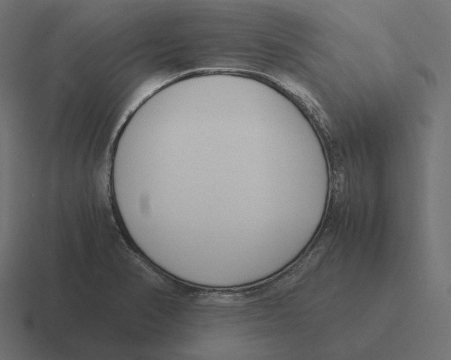 X0000116351374200912291623