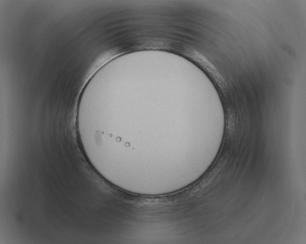 X0000116351378200912291623
