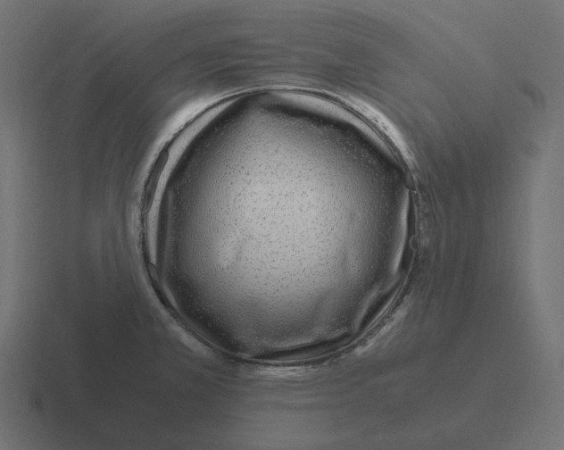 X0000116351381200912291623