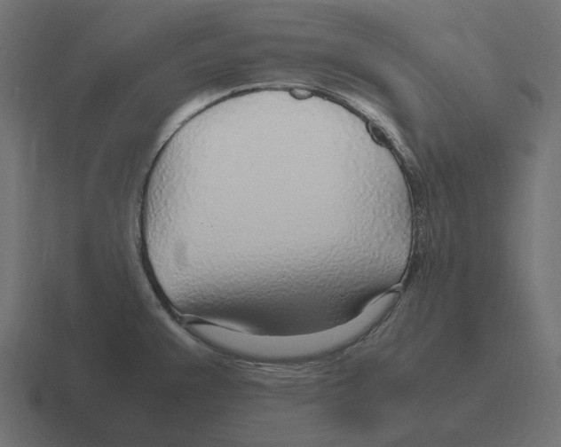 X0000116351383200912291623