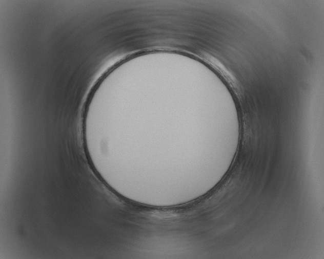 X0000116351384200912291623