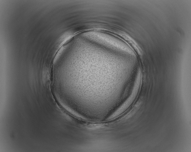 X0000116351385200912291623