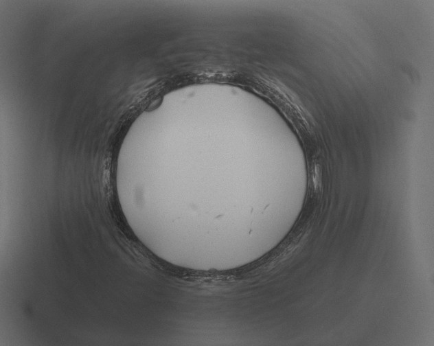 X0000116351396200912291622