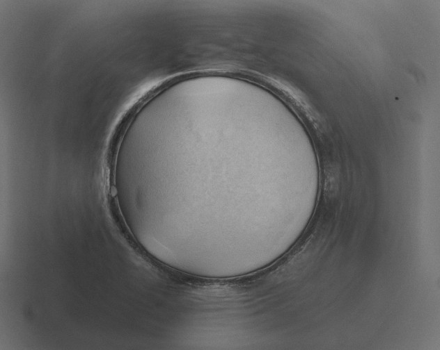 X0000116351414200912291623
