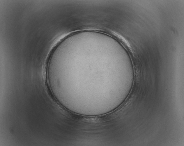 X0000116351415200912291623