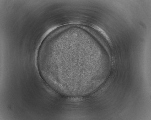 X0000116351427200912291623