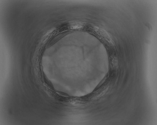X0000116351441200912291622