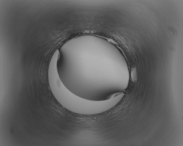 X0000116351444200912291622