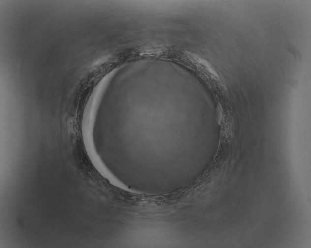 X0000116351445200912291622