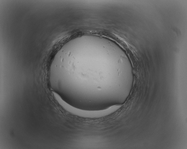 X0000116351447200912291622
