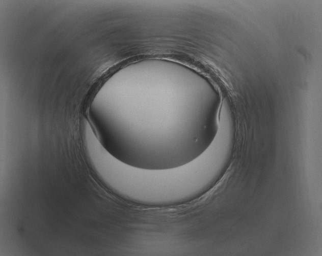 X0000116351449200912291622