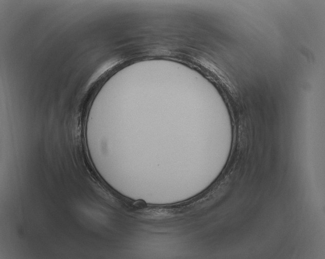 X0000116351450200912291622