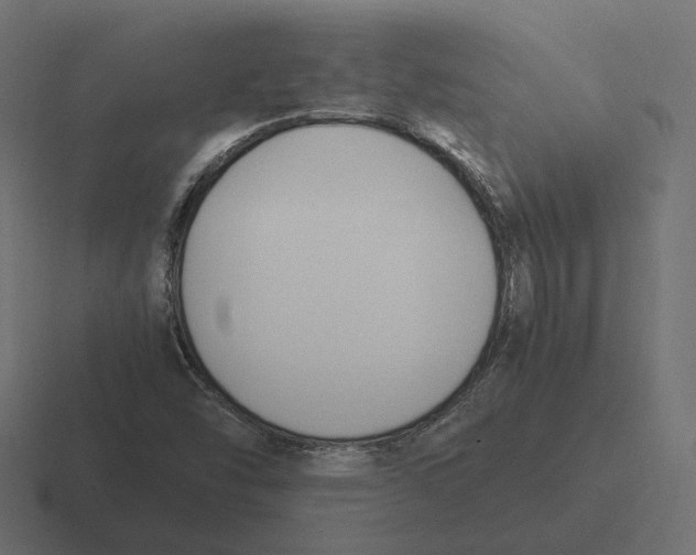 X0000116351454200912291622