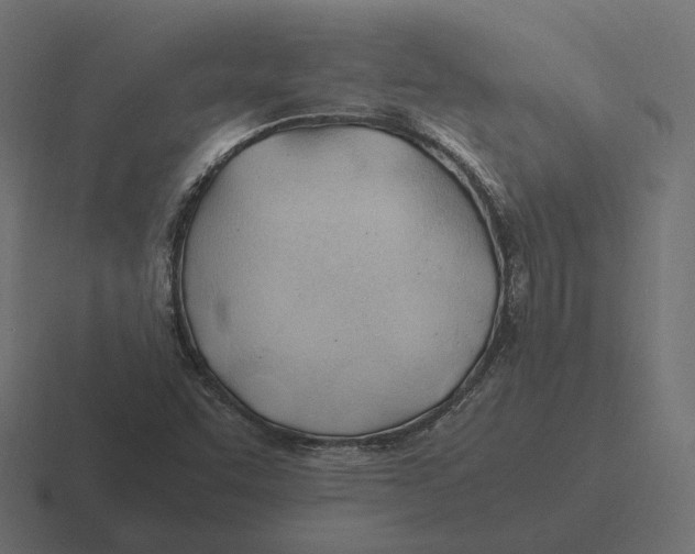 X0000116351455200912291622