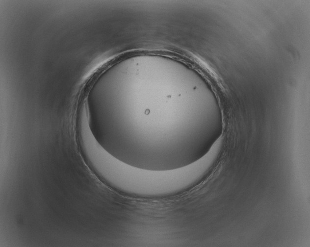 X0000116351456200912291622