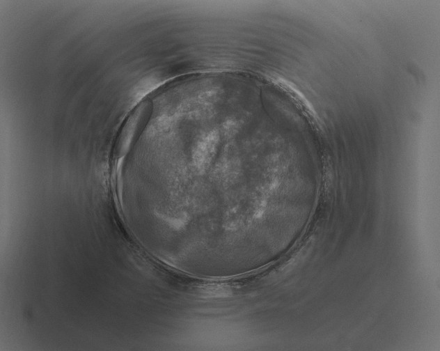 X0000116351457200912291622