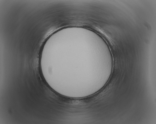 X0000116351459200912291622