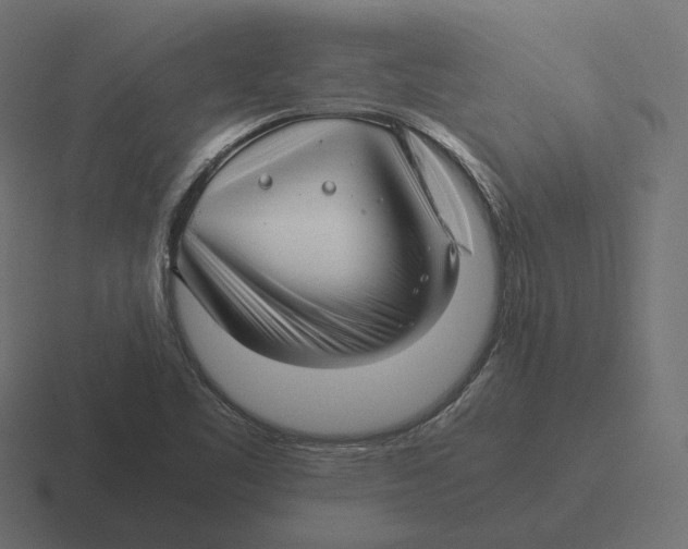 X0000116351461200912291622