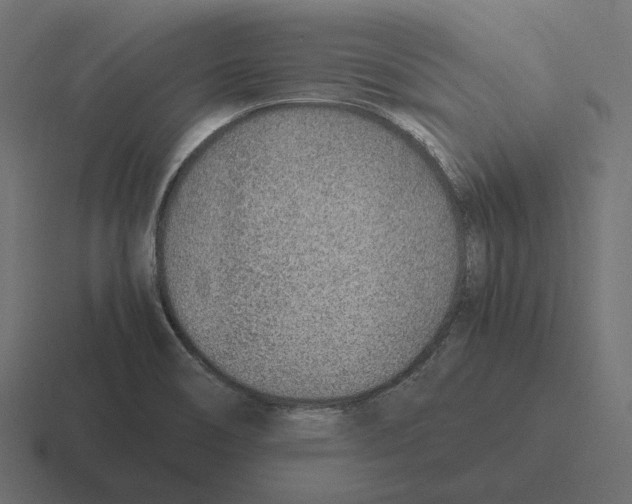 X0000116351466200912291622