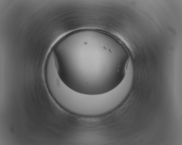 X0000116351468200912291622