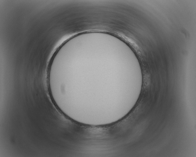 X0000116351470200912291622