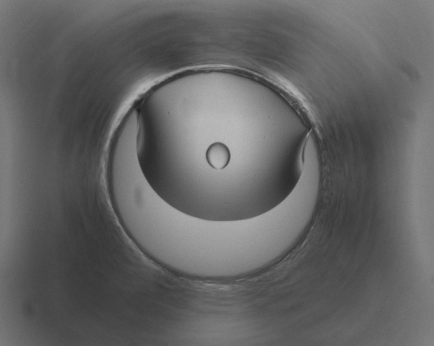 X0000116351472200912291622