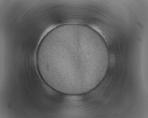 X0000116351474200912291622