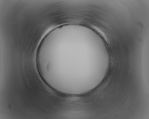 X0000116351475200912291622