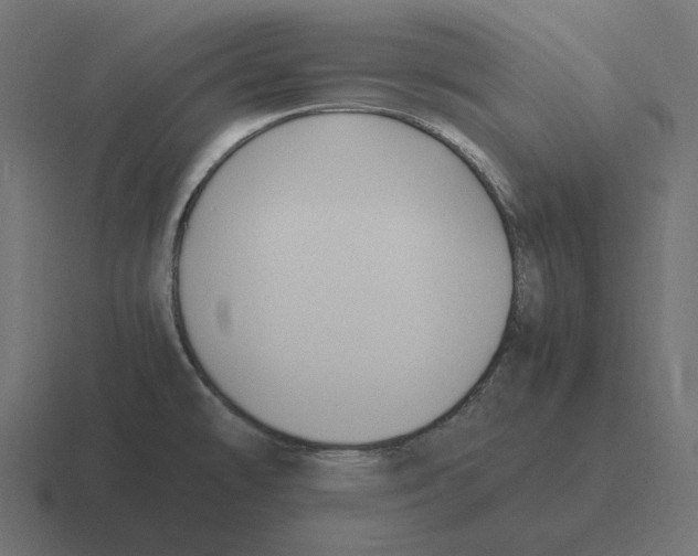 X0000116351478200912291622