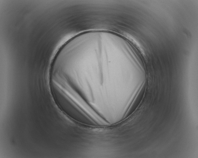 X0000116351480200912291622