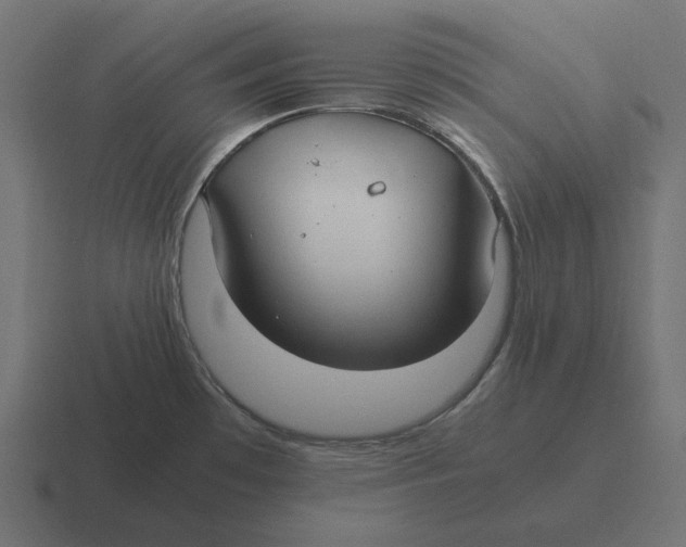 X0000116351481200912291622