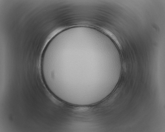 X0000116351482200912291622