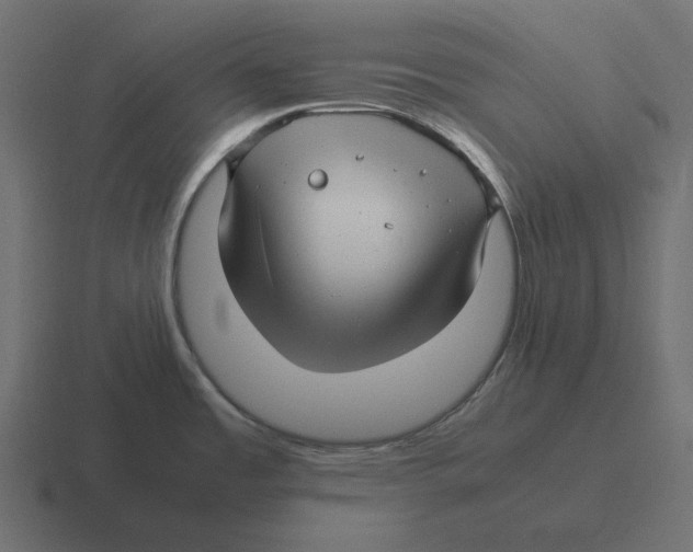 X0000116351485200912291622