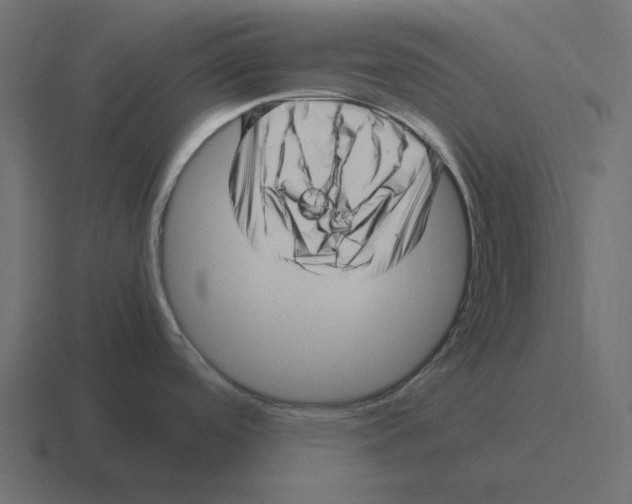 X0000116351488200912291622