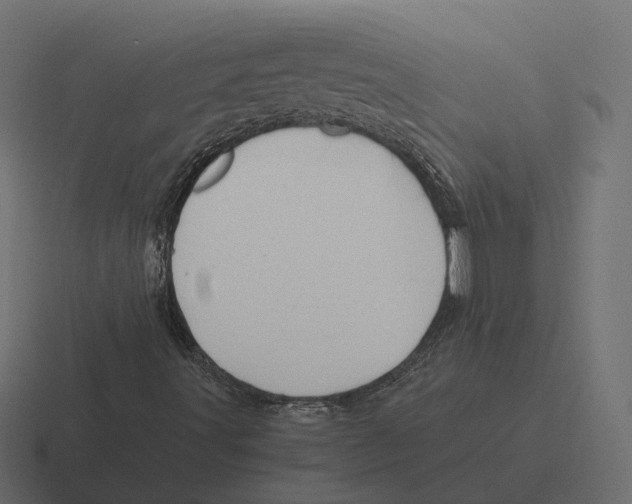 X0000116351491200912291621
