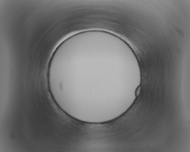 X0000116351534200912291622