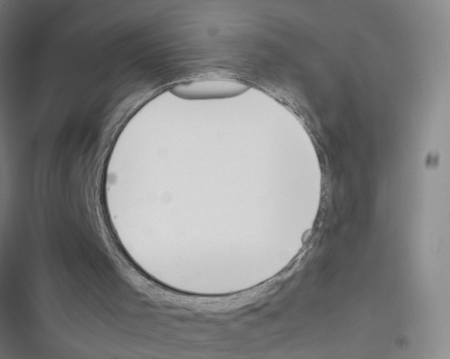X0000116350001201001131116