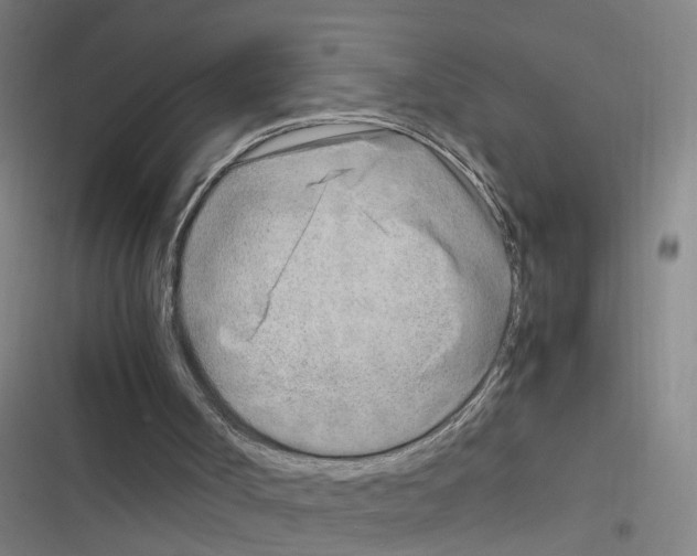 X0000116350002201001131116