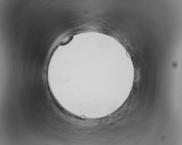 X0000116350004201001131116