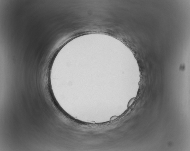X0000116350005201001131116