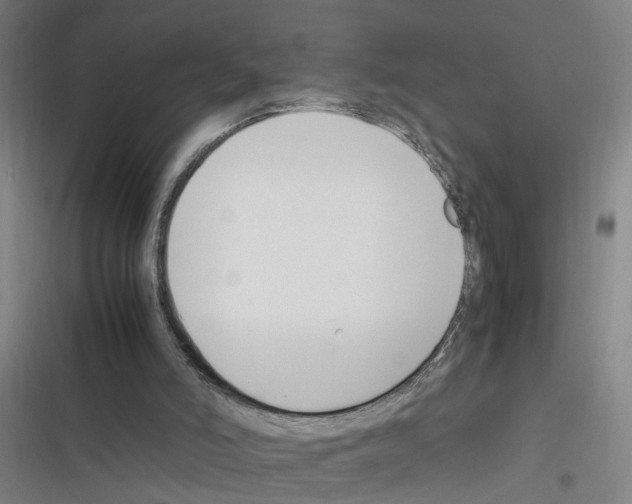 X0000116350006201001131116