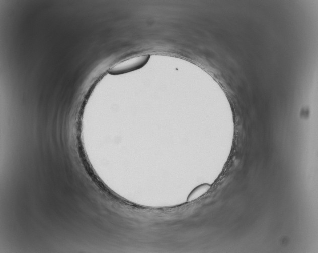 X0000116350007201001131116