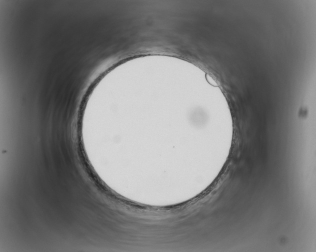 X0000116350008201001131116