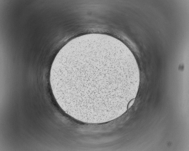 X0000116350009201001131116