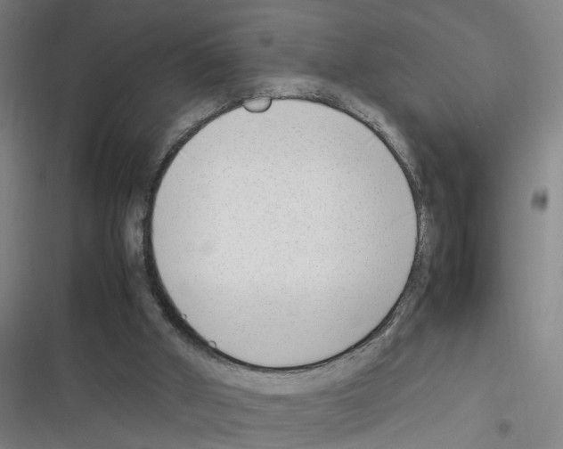 X0000116350010201001131116