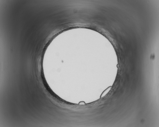 X0000116350011201001131116