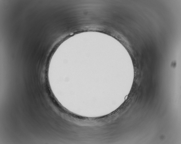 X0000116350012201001131116