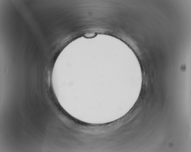 X0000116350013201001131116