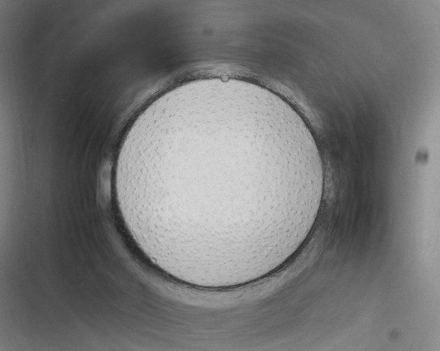 X0000116350014201001131116