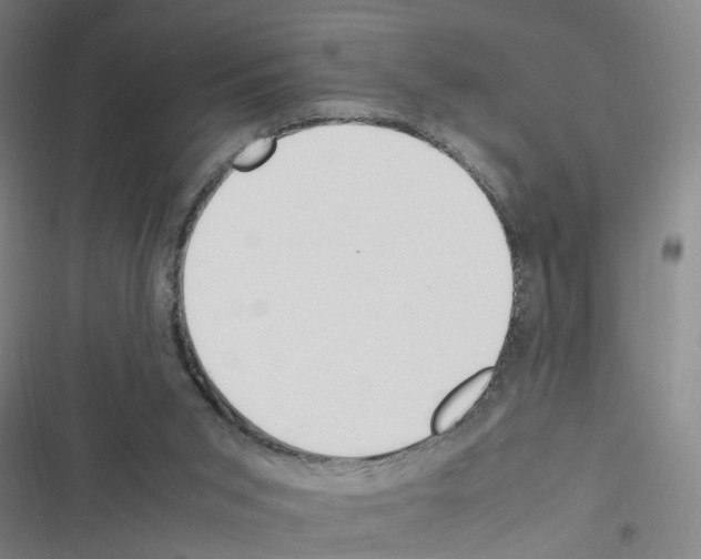 X0000116350015201001131116